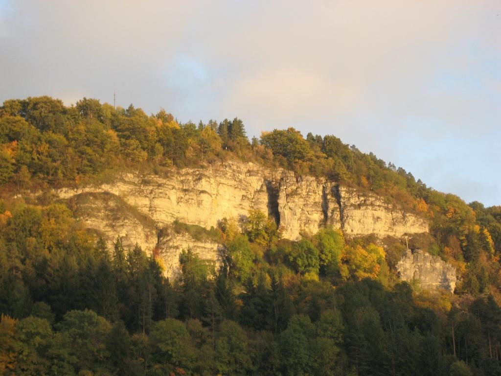 Gaestehaus Krone Oberndorf am Neckar Bilik gambar