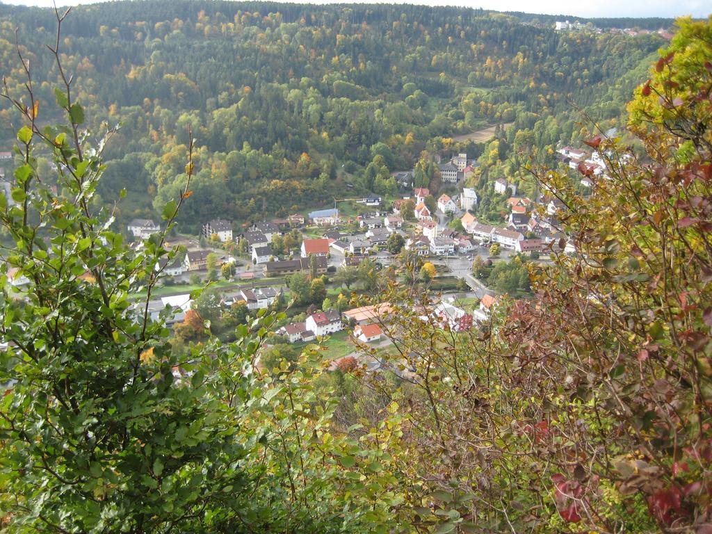 Gaestehaus Krone Oberndorf am Neckar Bilik gambar